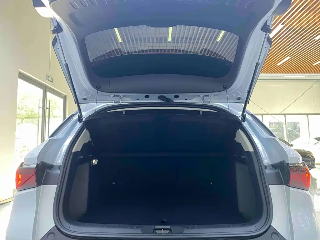 BYD Yuan Plus — миниатюра 18