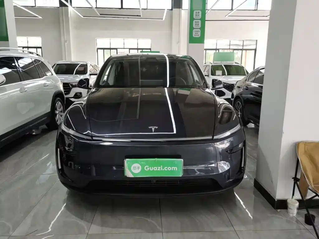 Tesla Model Y — миниатюра 3