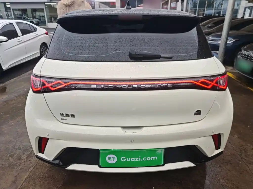 BYD Dolphin — миниатюра 6