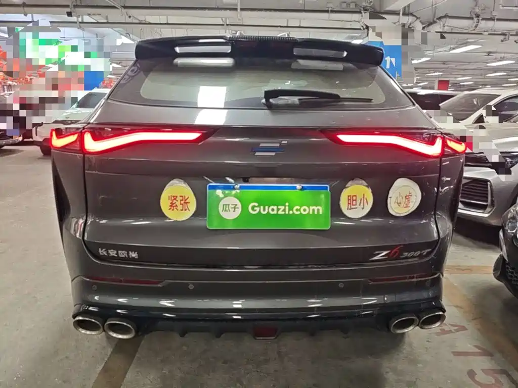 Oshan Oushang Z6 — миниатюра 6