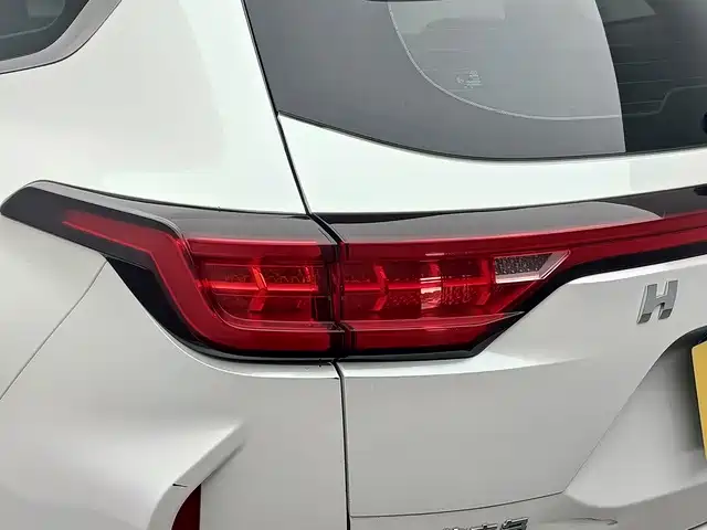 Haval Chitu — миниатюра 16