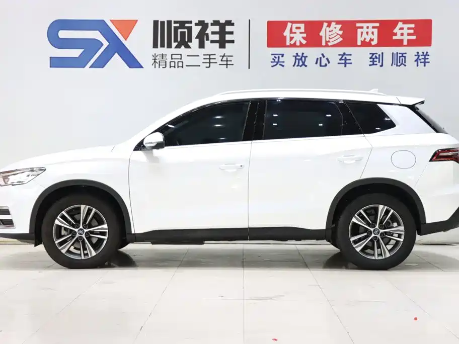 BYD Pro — миниатюра 6