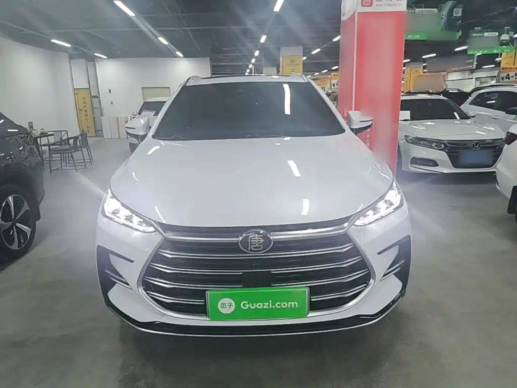 BYD Tang New Energy — миниатюра 3