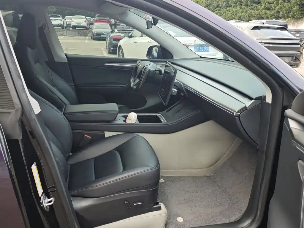 Tesla Model Y — миниатюра 10
