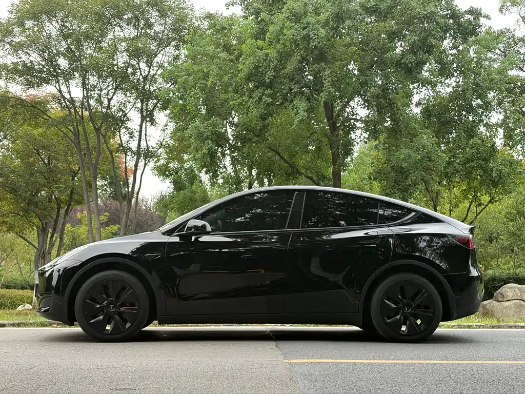 Tesla Model Y — миниатюра 9