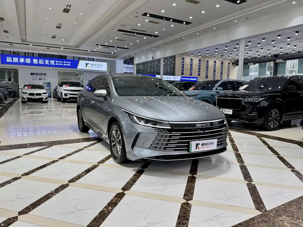BYD Destroyer 05 — миниатюра 4