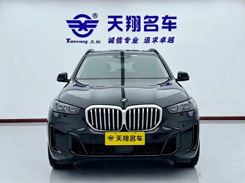 BMW X5 — миниатюра 2