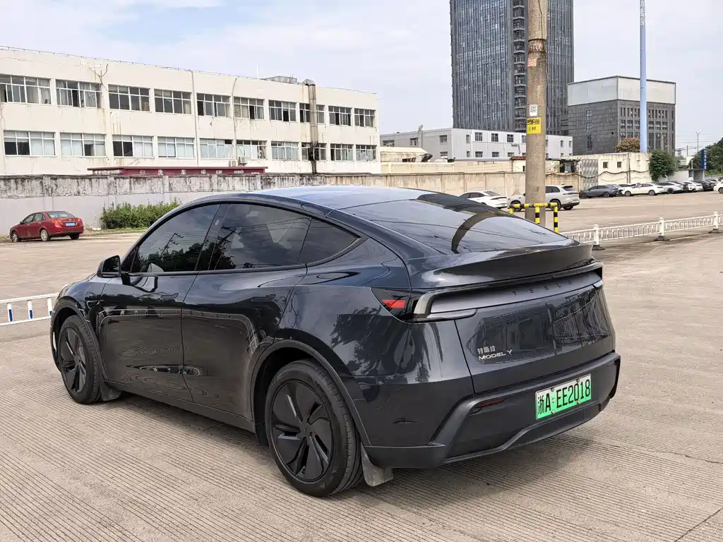 Tesla Model Y — миниатюра 6