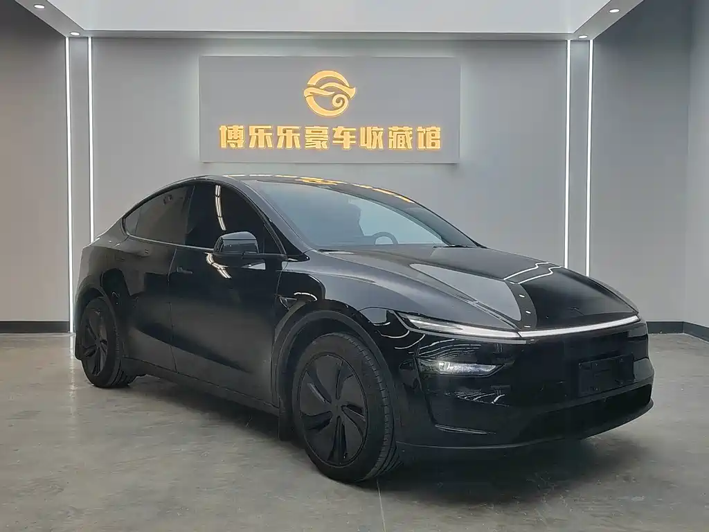 Tesla Model Y — миниатюра 3
