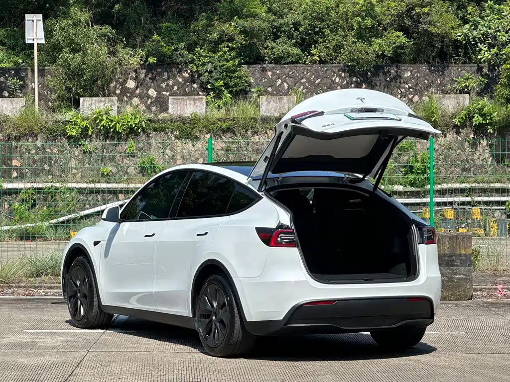 Tesla Model Y — миниатюра 16