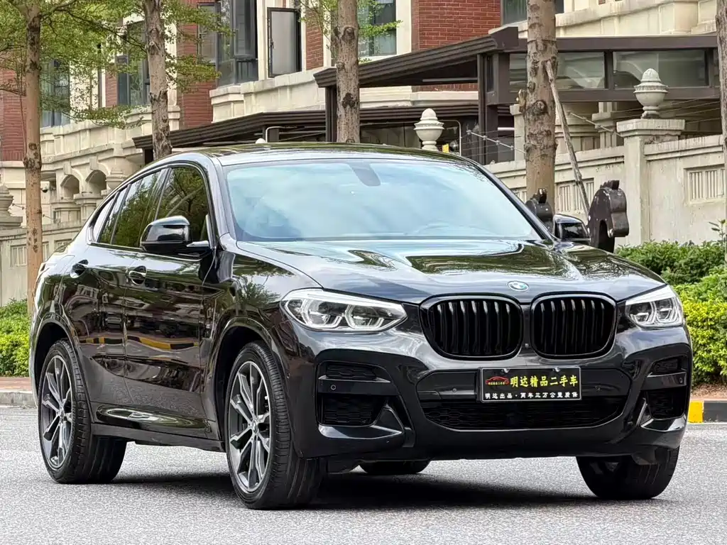 BMW X4 — миниатюра 2