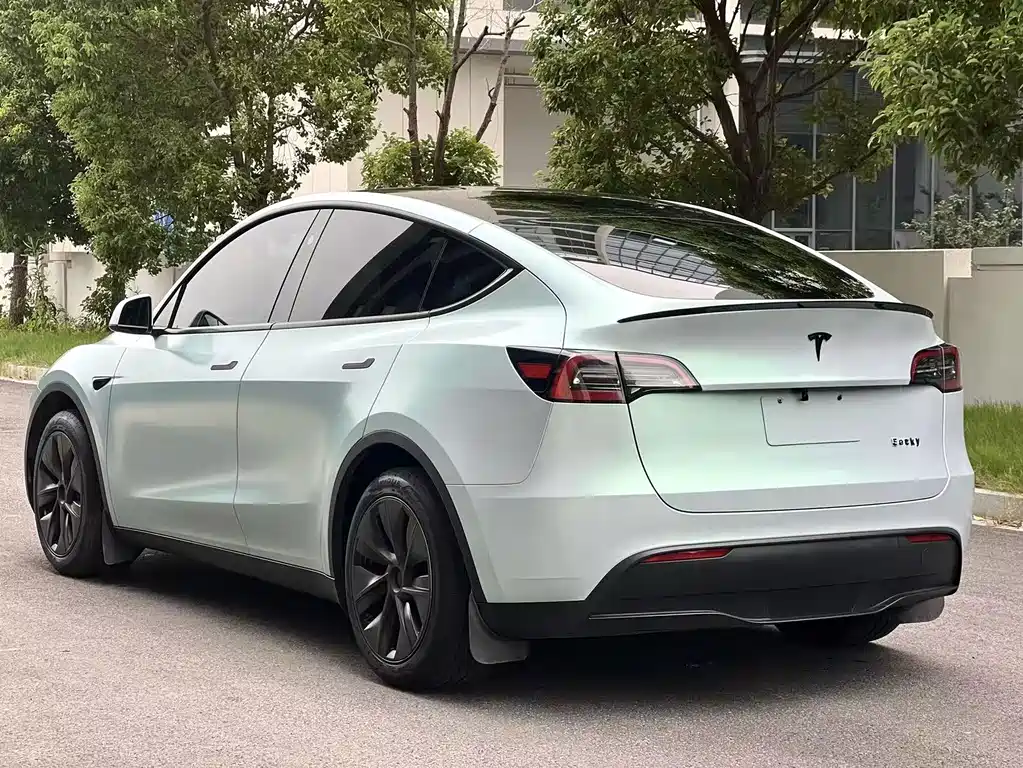 Tesla Model Y — миниатюра 6