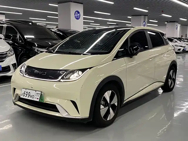 BYD Dolphin