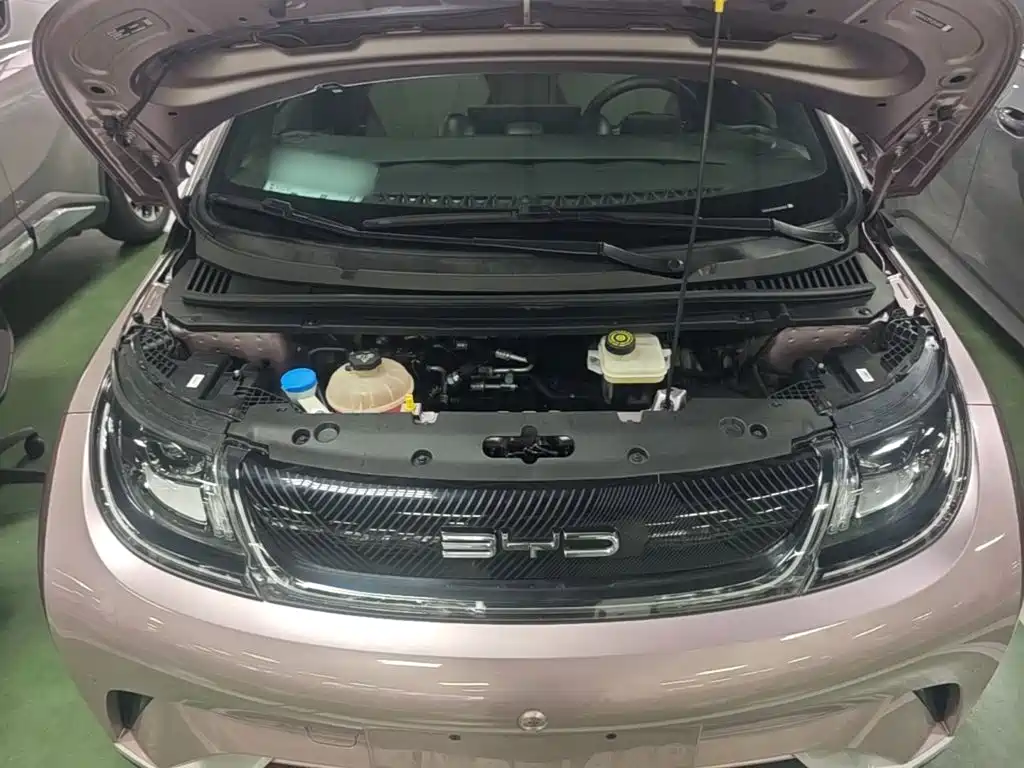 BYD Dolphin — миниатюра 20