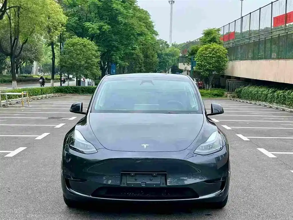 Tesla Model Y — миниатюра 2