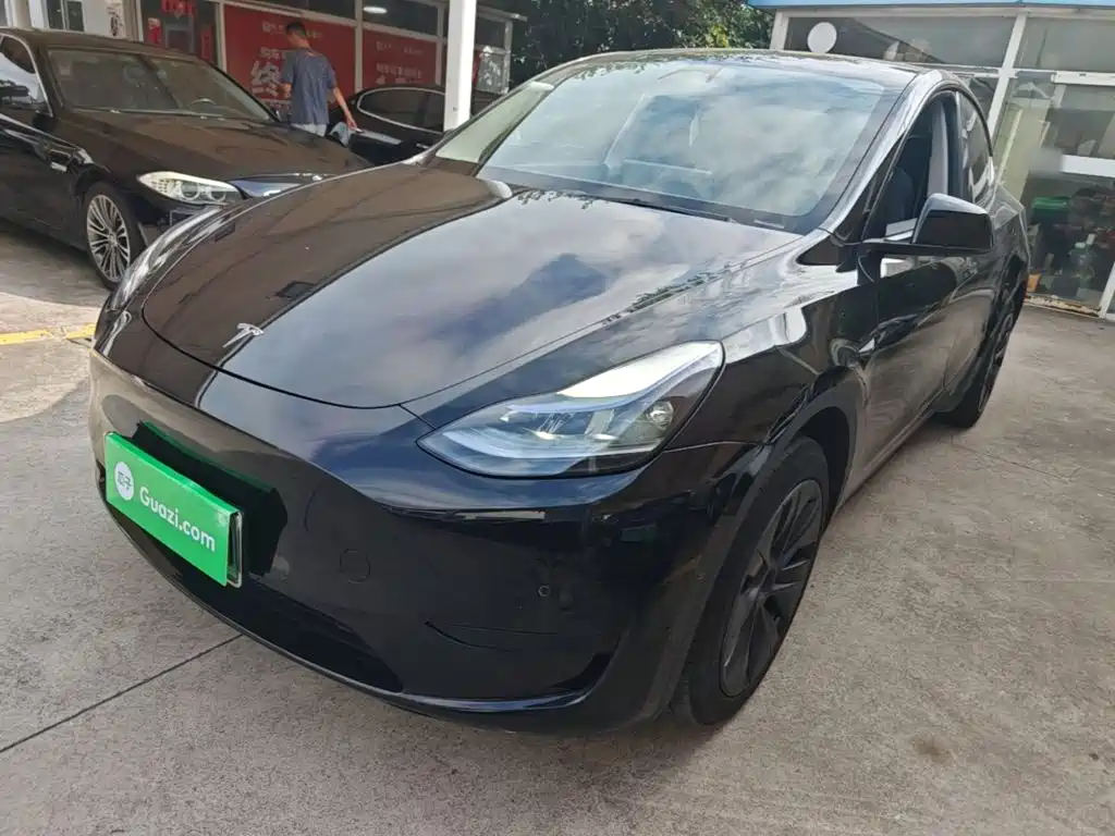 Tesla Model Y — миниатюра 2