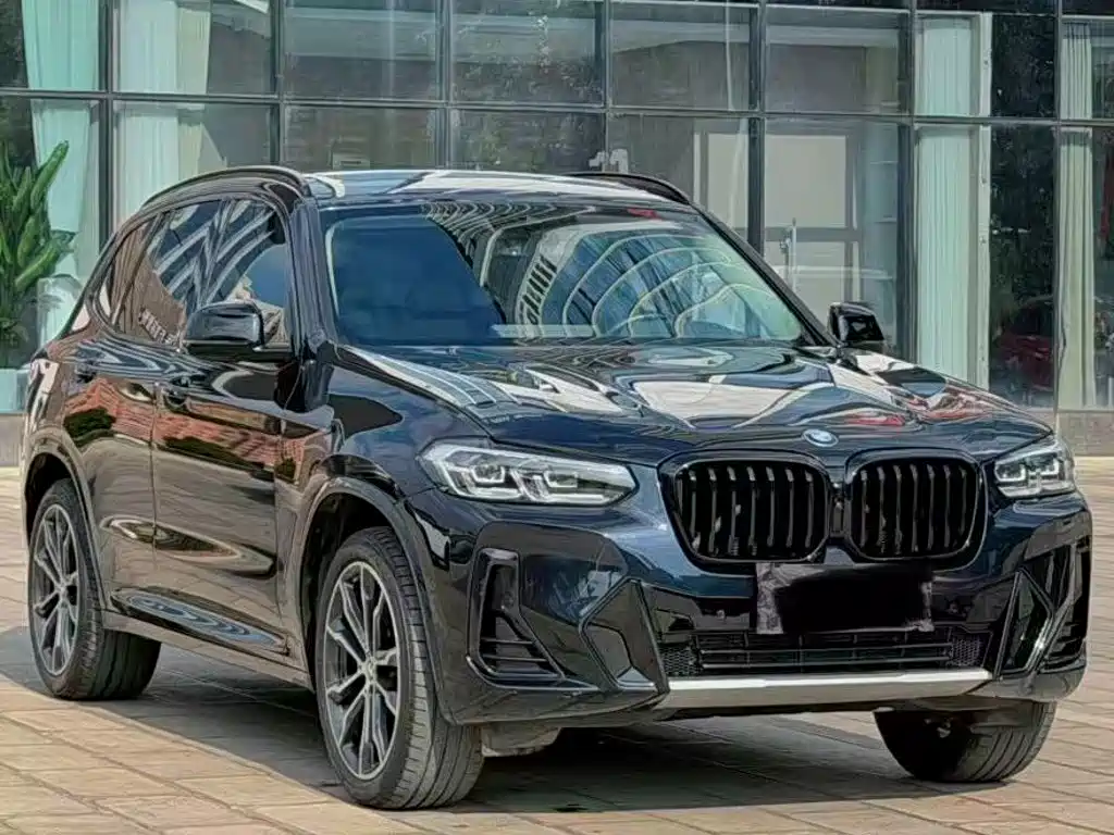 BMW X3 — миниатюра 3