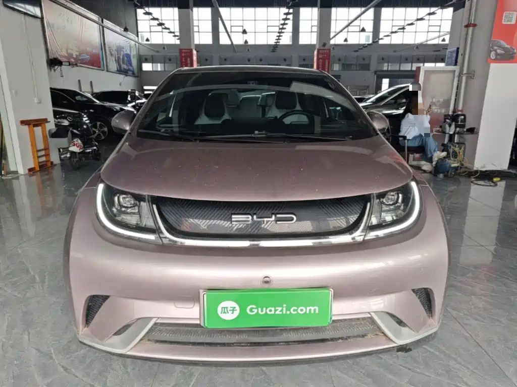 BYD Dolphin — миниатюра 3