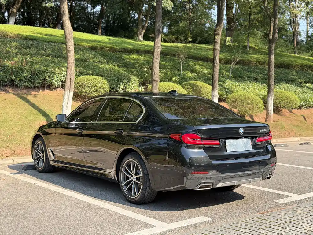 BMW 5 Series — миниатюра 6