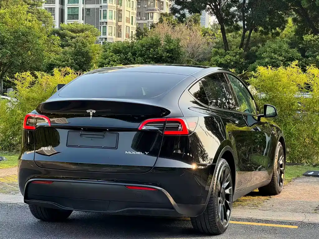 Tesla Model Y — миниатюра 6