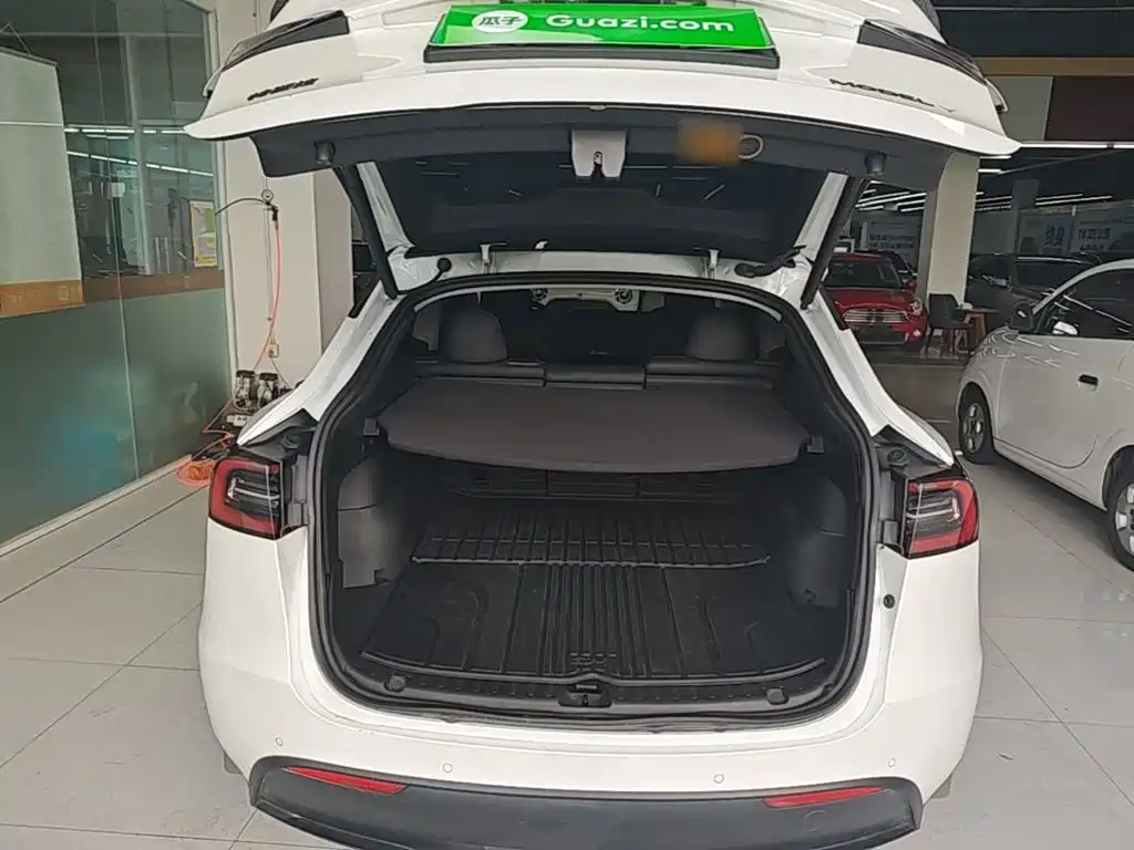 Tesla Model Y — миниатюра 19