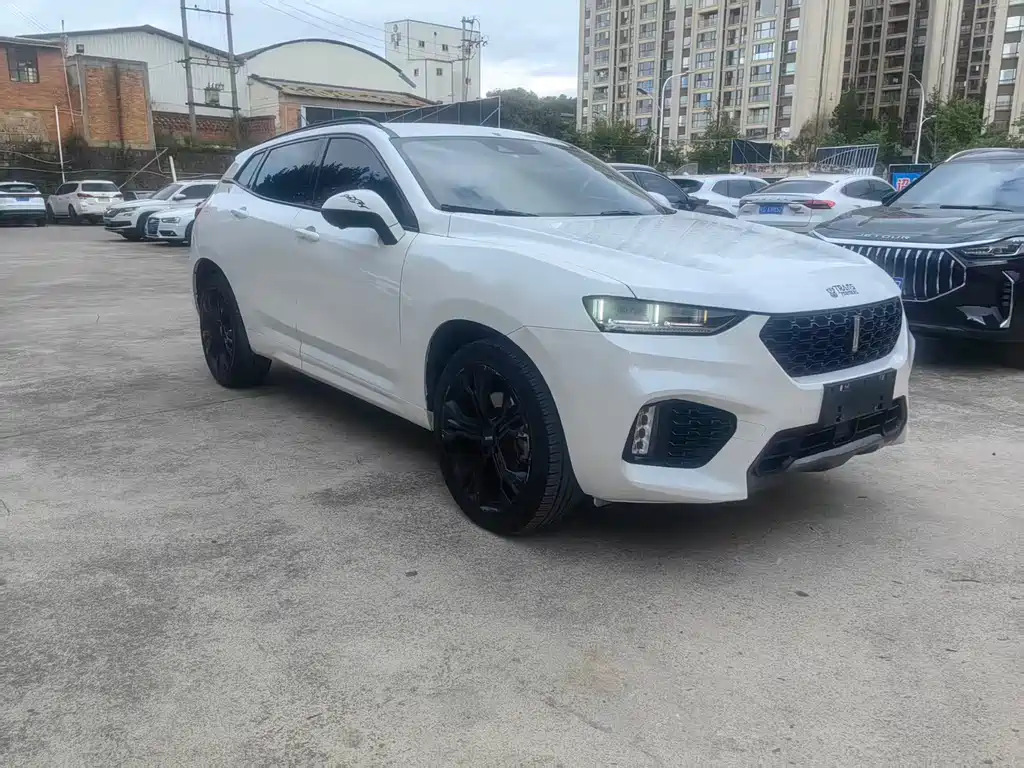 WEI PAI WEI BRAND VV7