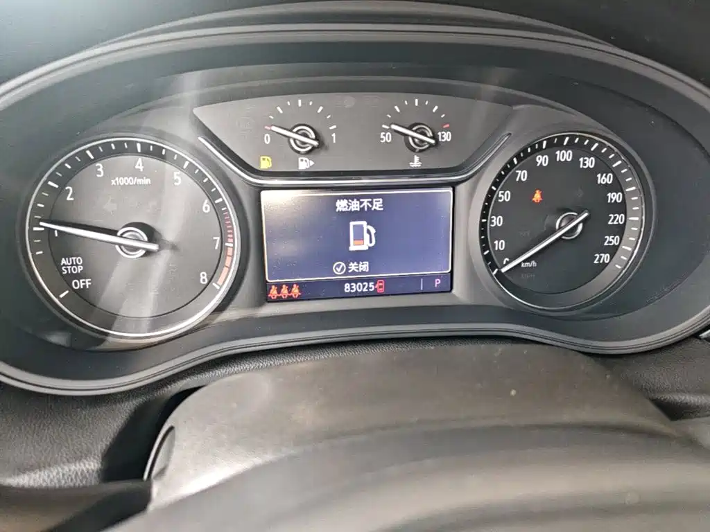 Buick Regal — миниатюра 12