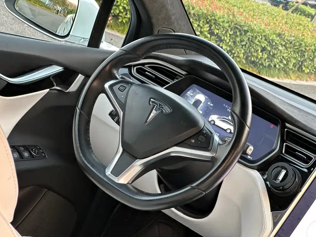 Tesla Model X — миниатюра 16