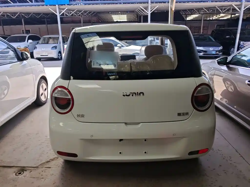 Qiyuan Lumin — миниатюра 6