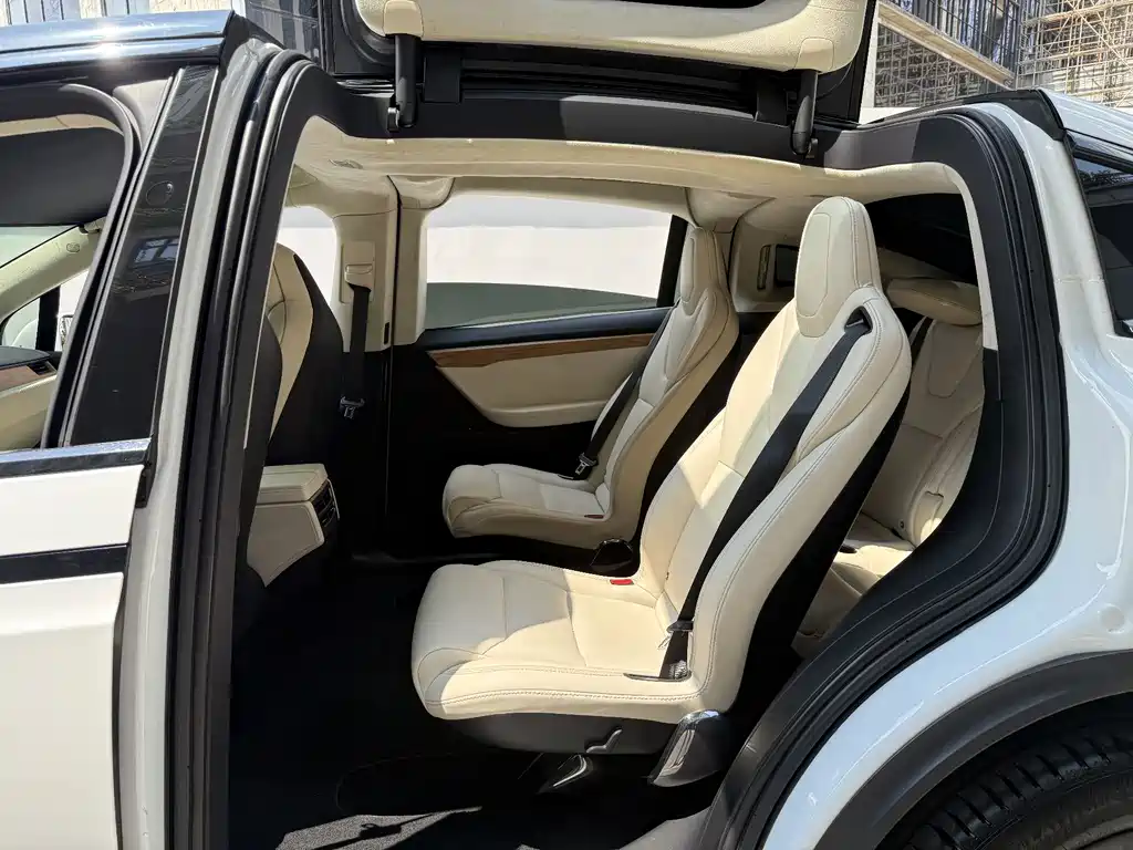 Tesla Model X — миниатюра 11