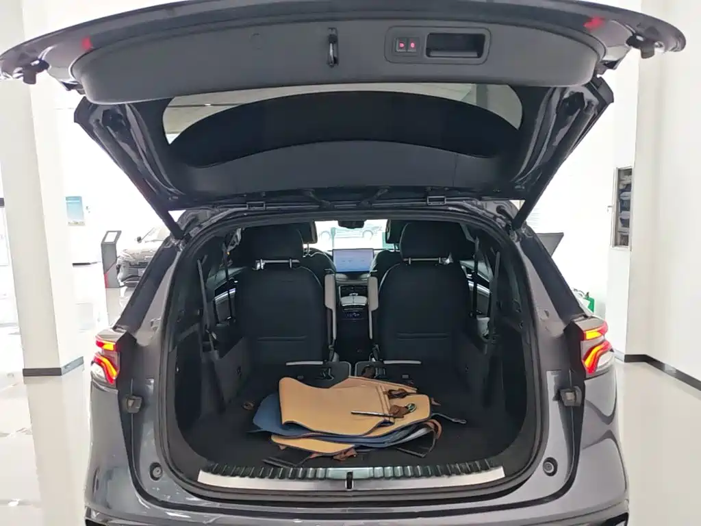 BYD Tang New Energy — миниатюра 19