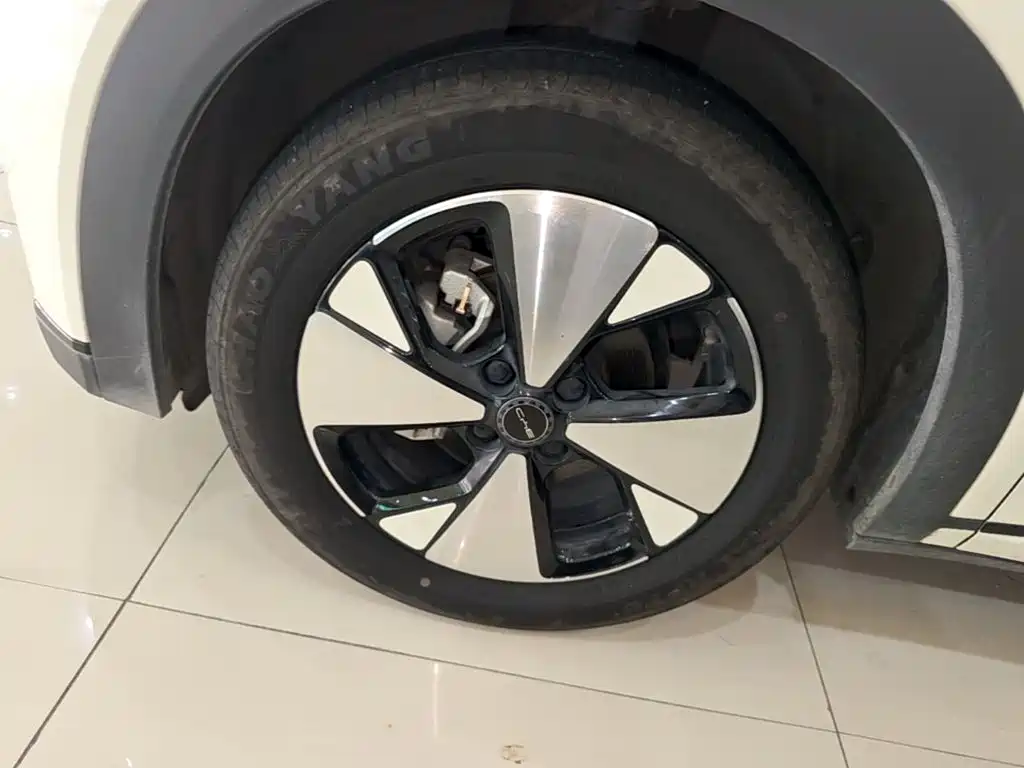 BYD Dolphin — миниатюра 23