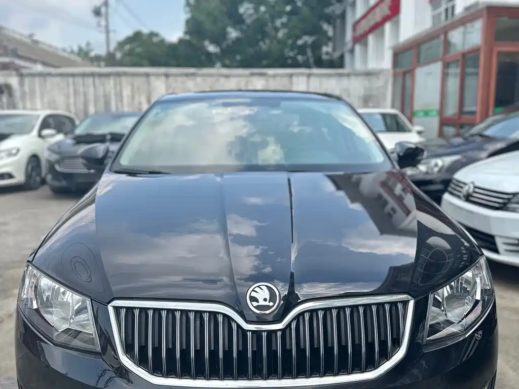 Skoda Octavia — миниатюра 2