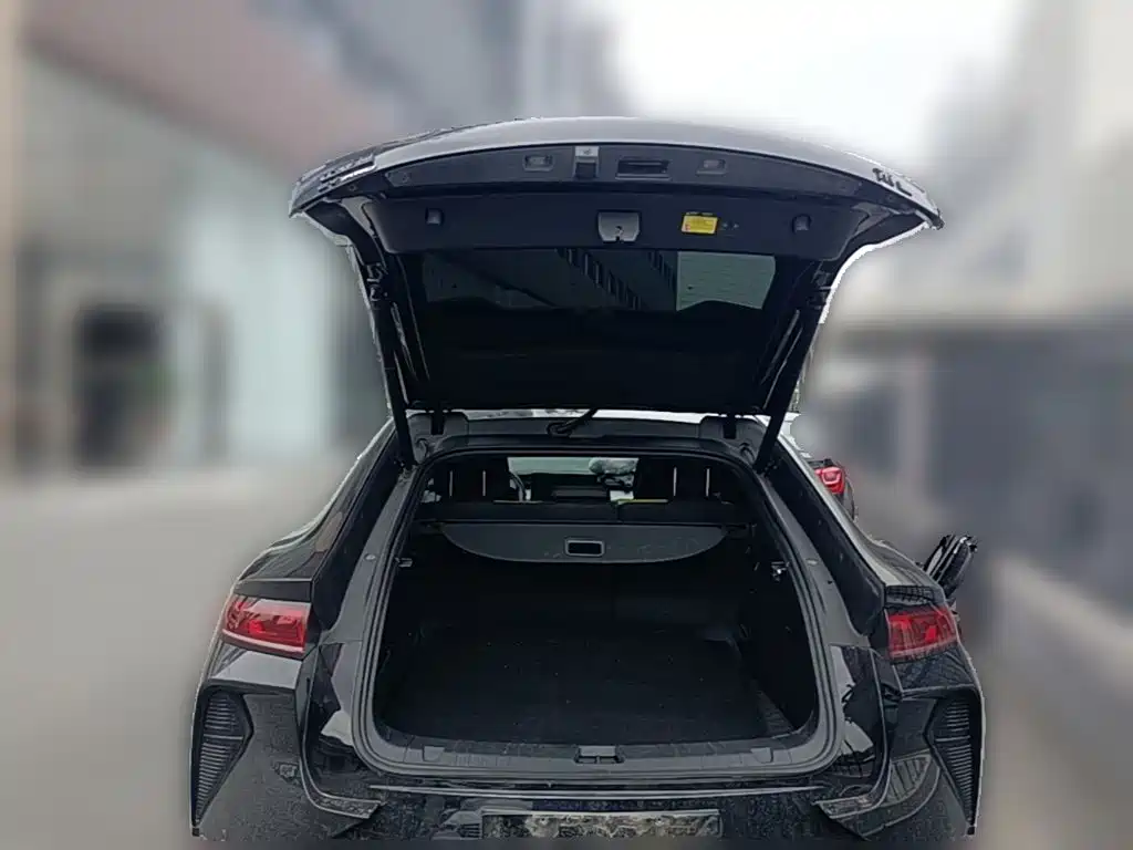 BYD L EV — миниатюра 24
