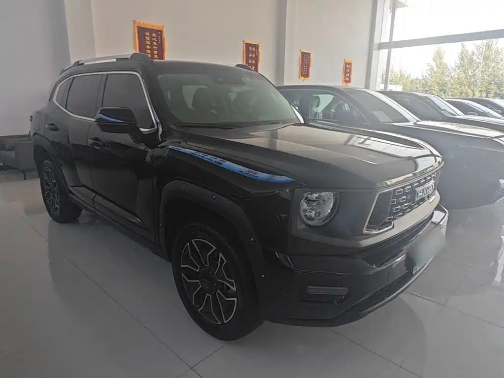 Haval Big Dog PLUS New Energy — миниатюра 4