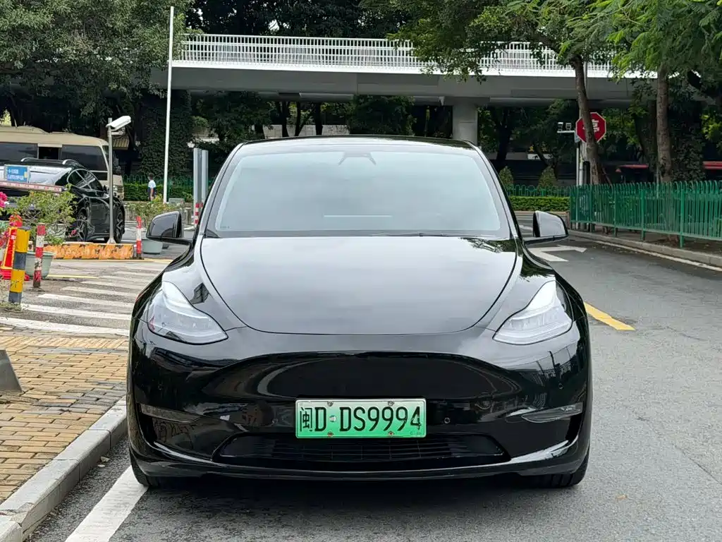 Tesla Model Y — миниатюра 2