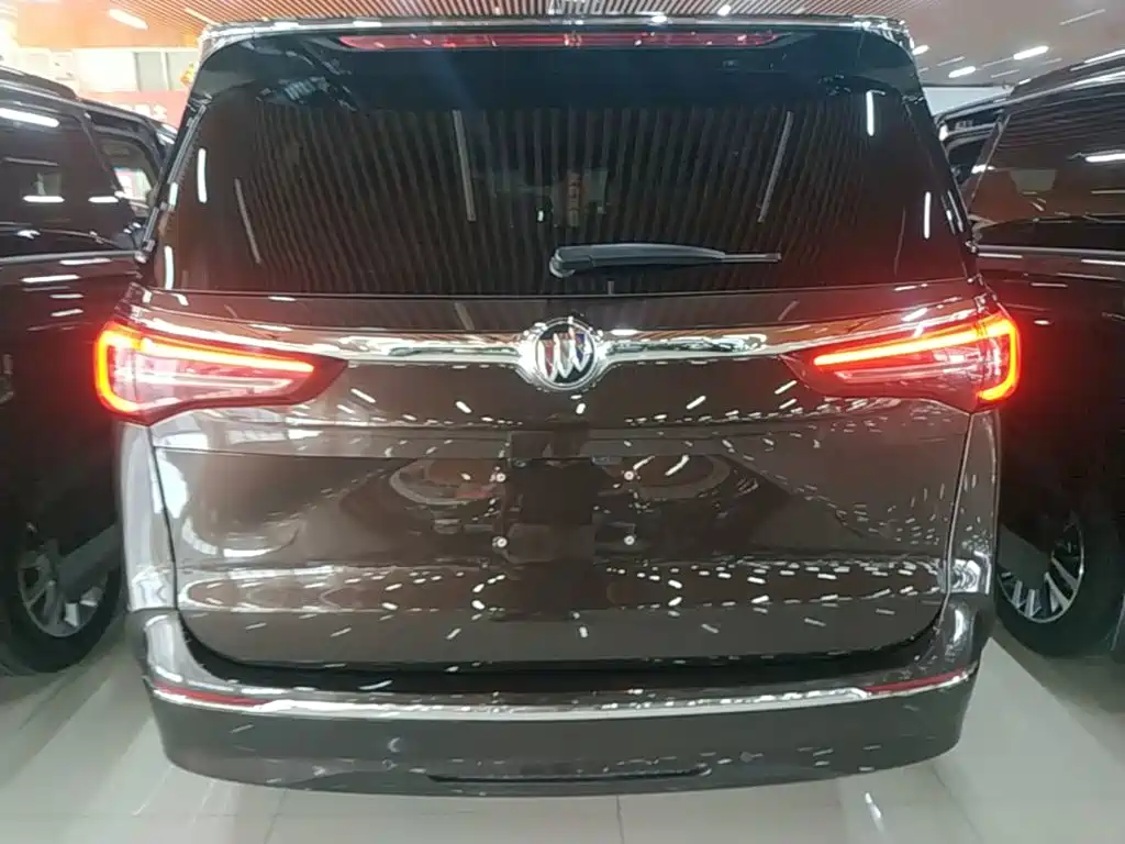 Buick GL8 — миниатюра 6