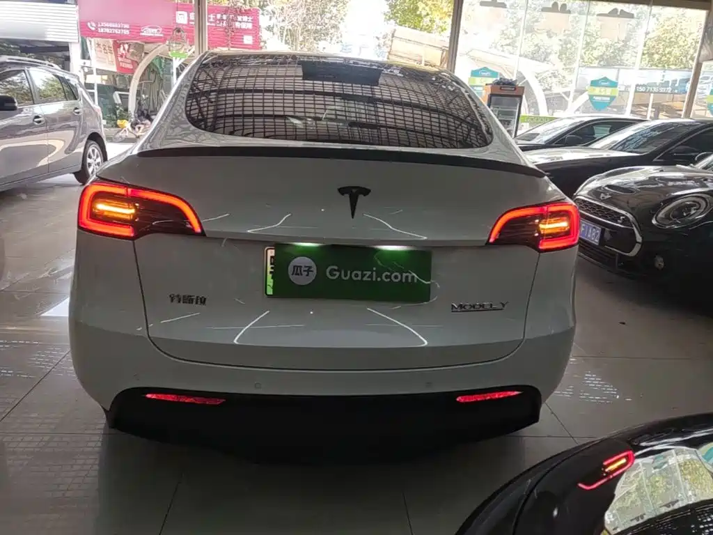 Tesla Model Y — миниатюра 6