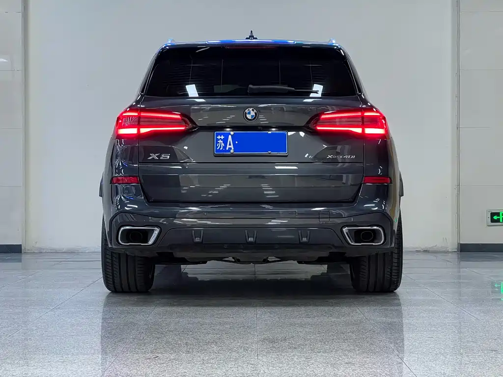 BMW X5 (Import) — миниатюра 5
