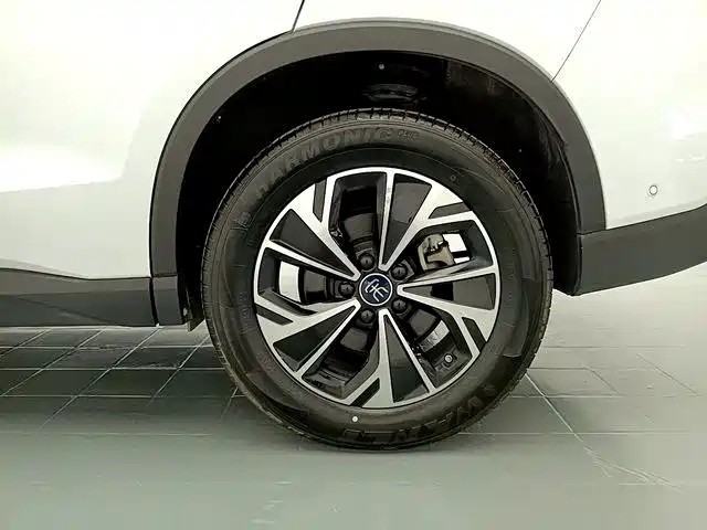 BYD Pro New Energy — миниатюра 16