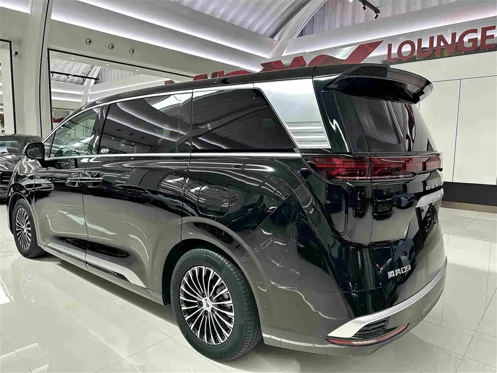 Denza Denza D9 — миниатюра 18