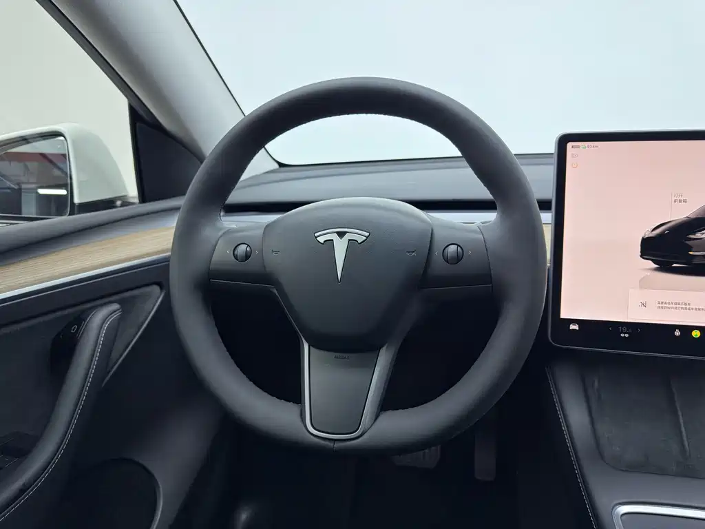 Tesla Model Y — миниатюра 15