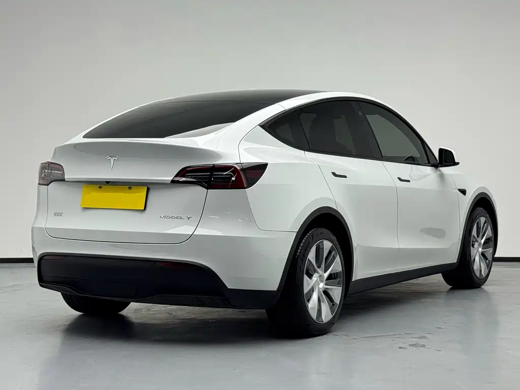 Tesla Model Y — миниатюра 3