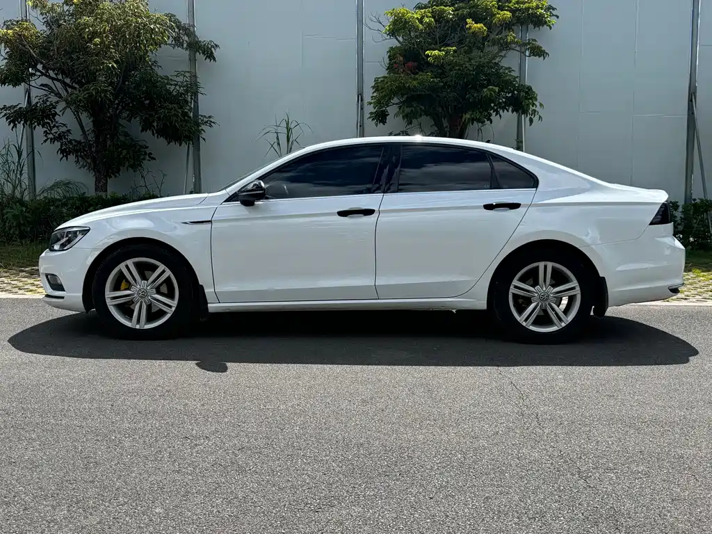 Volkswagen Lamando — миниатюра 10