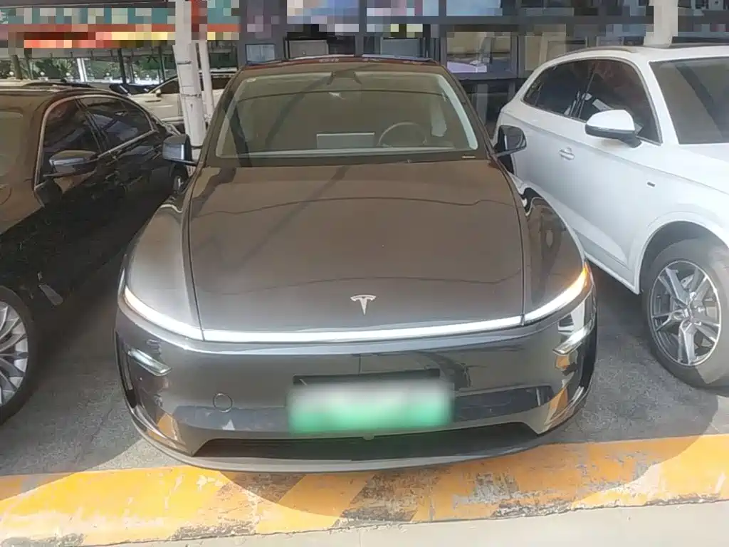 Tesla Model Y — миниатюра 3