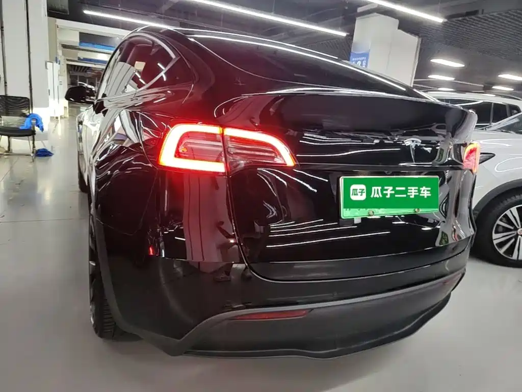 Tesla Model Y — миниатюра 5