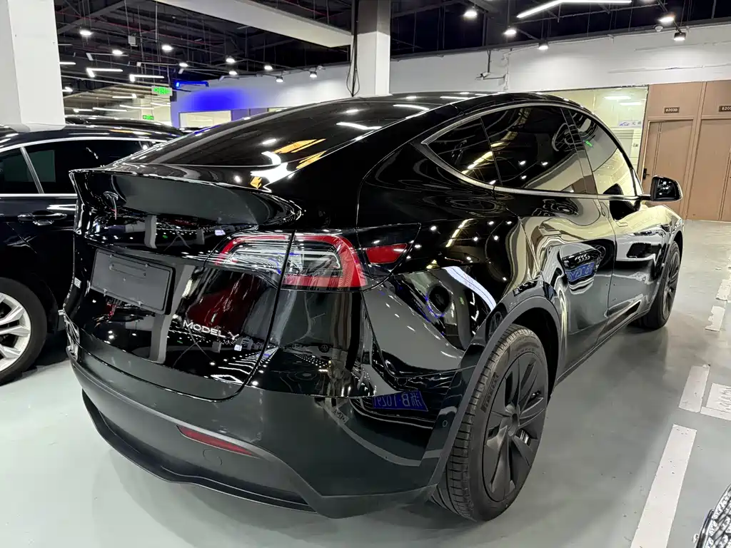 Tesla Model Y — миниатюра 12