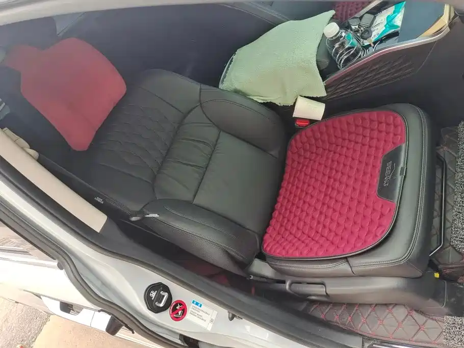 Honda Elysion — миниатюра 8