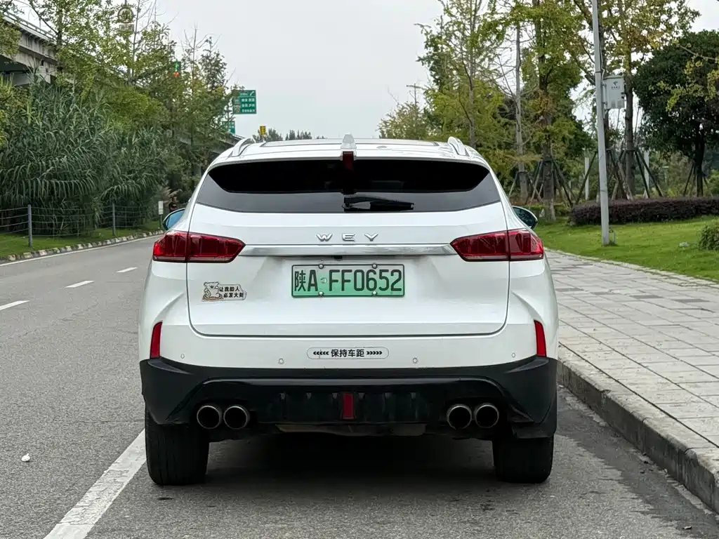 Wey Wey P8 — миниатюра 15