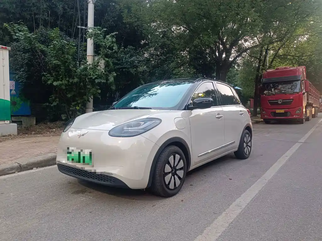 Wuling Bingo